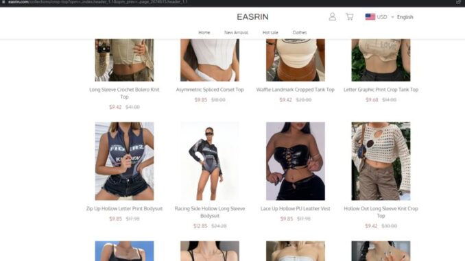 Easrin.com Review
