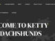 Kettyminidachshunds.com Review