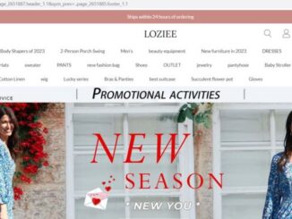 Loziee.com Review