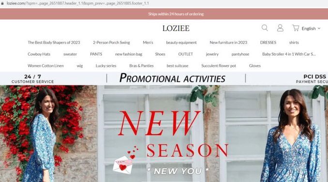 Loziee.com Review